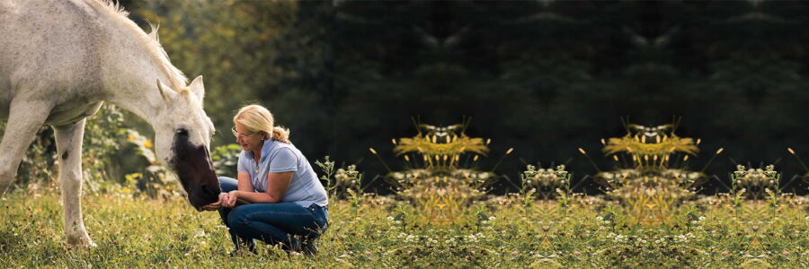 Equinopathie - Gundula Lorenz & Chicco